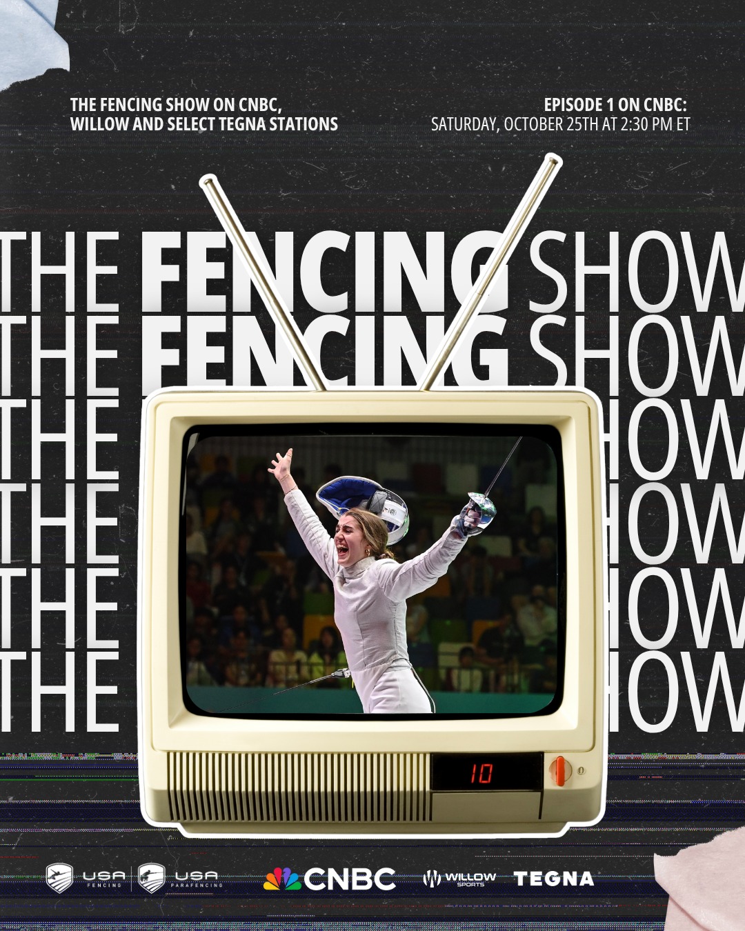 Typical activities carried out by THE SOFTWARE TAILORS LTD